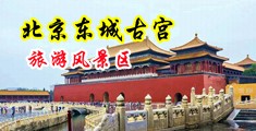 嗯啊好大好舒服啊视频中国北京-东城古宫旅游风景区